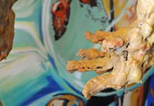 „Edgar Leissing & Markus Grabher“ / Ausstellung Villa Falkenhorst Thüringen