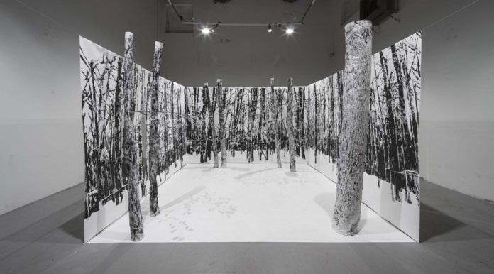 Gabor Koos, 20 year old forest, 2015, Holzschnitt auf Papier, Metal, Spiegelfolie, 450 x 450 x 300 cm, Installationsansicht MeetFactory, Prag