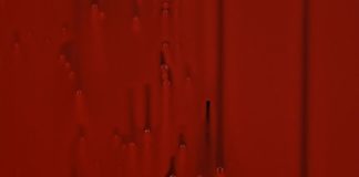 Diagonale’18 / Graz