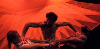 Festival „ImPulsTanz“ / Wien 2017