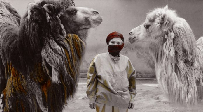 Lisl Ponger. Professione: fotografa. Otto-Breicha-Preis für Fotokunst / Museum der Moderne Salzburg