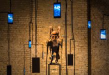 STERNE Kosmische Kunst von 1900 bis heute