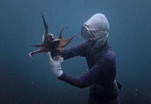 Ethnocineca 2017 – International documentary film festival