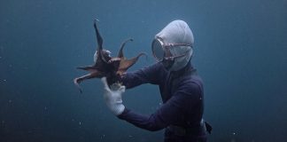 Ethnocineca 2017 – International documentary film festival