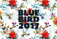 Blue Bird Singer Songwriter Festival 2017 / Porgy & Bess Wien