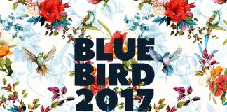 Blue Bird Singer Songwriter Festival 2017 / Porgy & Bess Wien