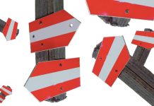 Austrian culture in the world