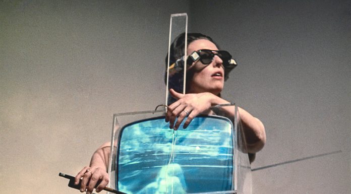 Ausstellung: Ein Fest des Staunens