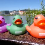 Donauschwimmer_Linz_Donauufer_c_LinzTourismus_MC_2014_7