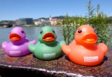 “Artistic free floaters.” / Linz