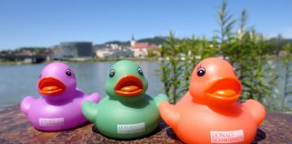 Freischwimmer im Kunstbetrieb