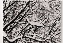 Ausstellung „Farhad Moshiri – First Snow“ / Villa Kast Salzburg