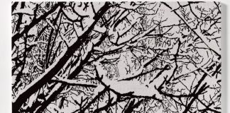 Ausstellung „Farhad Moshiri – First Snow“ / Villa Kast Salzburg