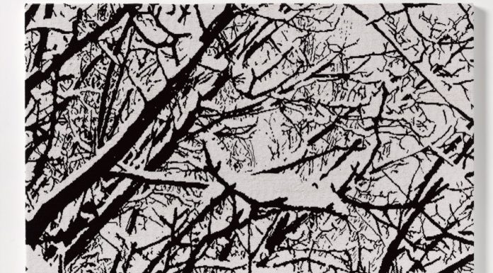 Ausstellung „Farhad Moshiri – First Snow“ / Villa Kast Salzburg