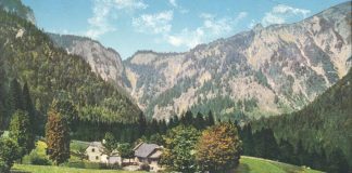 Wir Kinder der Toten: Heimat und Horror bei Elfriede Jelinek- Literatursymposium