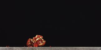 Vulgata. 77 Zugriffe auf die Bibel | Klaus G. Gaida