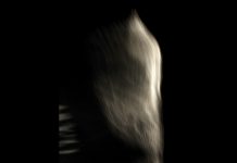 Diversität – Einzelausstellug mit Guntram König