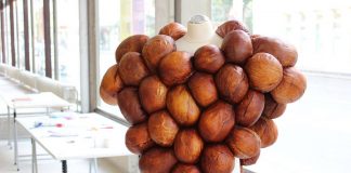 „Austrian Design Compositions – Natural Selection“ / ÖKF-Berlin