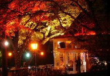 Park House – Chillen im Stadtpark / Graz