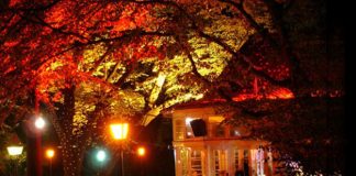Park House – Chillen im Stadtpark / Graz