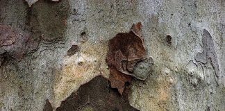 „May-Britt Nyberg – Chromy/ Nikolaus Walter“ / Villa Falkenhorst Thüringen