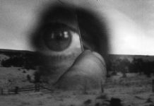 Robert Frank & Dokument:Fiktion