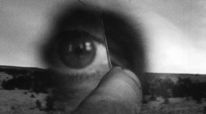 Robert Frank & Dokument:Fiktion