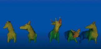 „Dejan Marković: Shapes of Things Before My Eyes“ / Neue Galerie Graz