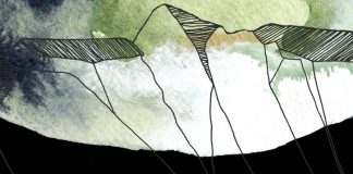 Solaris – Café / Bar im OÖ Kulturquartier / Linz