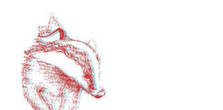 „Waves Vienna“ / Wien 2017