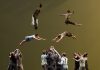 “Winterfest – contemporary Circus” / Salzburg