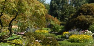 Margit Riezinger: Der helle Grat. Annäherung an die Botanische Illustration