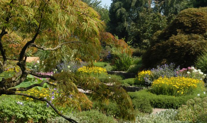 Botanischer Garten © stadtlinz