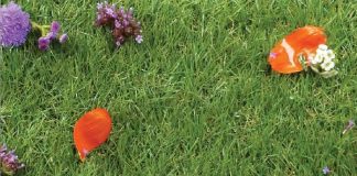 Heart – Garden – Veganes Mittagessen vom Feinsten / Linz