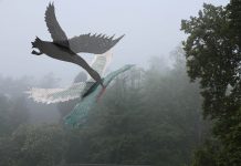 Renate Bertlmann − Angst