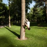 Navid Reza Haghighi aus der Serie: Park, 2011-2013