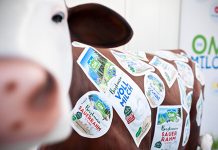 Creative Enterprises – Ein Ausflug in die Milchstraße