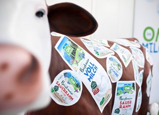 Creative Enterprises – Ein Ausflug in die Milchstraße