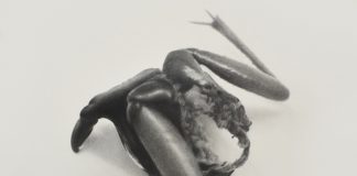 „Erich Gruber: Panzergast“ / Salzburger Kunstverein