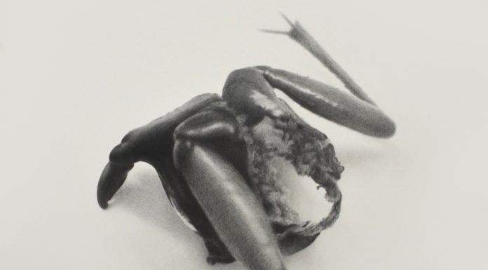 „Erich Gruber: Panzergast“ / Salzburger Kunstverein