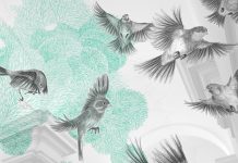 „Nikola Röthemeyer & Annika Sailer: Schwarmfänger“ / Salzburger Kunstverein