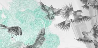 „Nikola Röthemeyer & Annika Sailer: Schwarmfänger“ / Salzburger Kunstverein