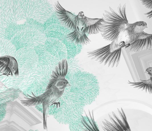 „Nikola Röthemeyer & Annika Sailer: Schwarmfänger“ / Salzburger Kunstverein