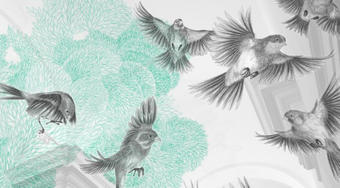 „Nikola Röthemeyer & Annika Sailer: Schwarmfänger“ / Salzburger Kunstverein