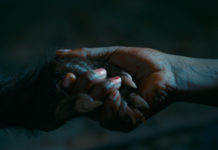 Filmfestival „/slash 1/2“ 2018 / Wien