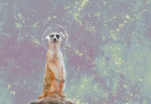 (empty) space – Vom Leben, der Verzweiflung / Galerie 5020 Salzburg