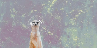 (empty) space – Vom Leben, der Verzweiflung / Galerie 5020 Salzburg