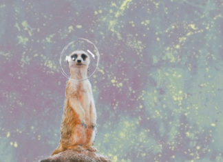 (empty) space – Vom Leben, der Verzweiflung / Galerie 5020 Salzburg