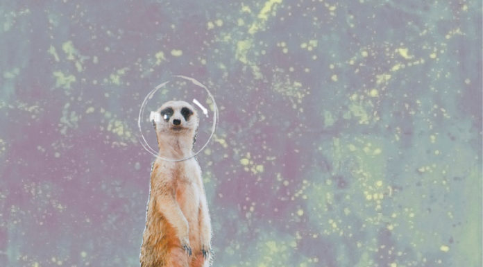 (empty) space – Vom Leben, der Verzweiflung / Galerie 5020 Salzburg