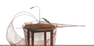 „Sommerausstellung“ / Museum der Moderne; Salzburg